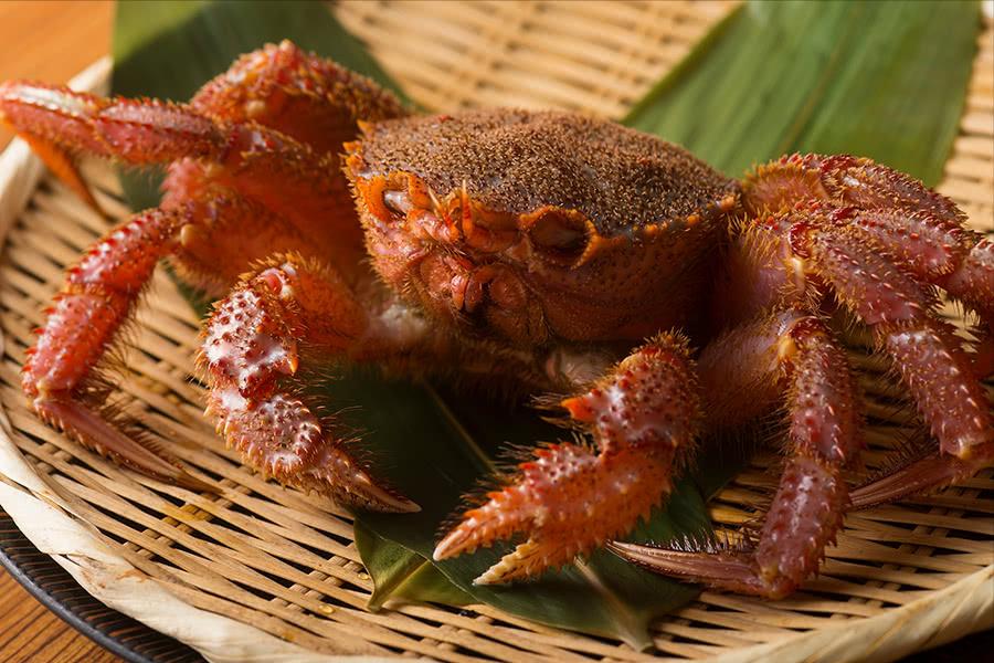 去日本必吃的五种海鲜,到日本必吃的饕餮美食
