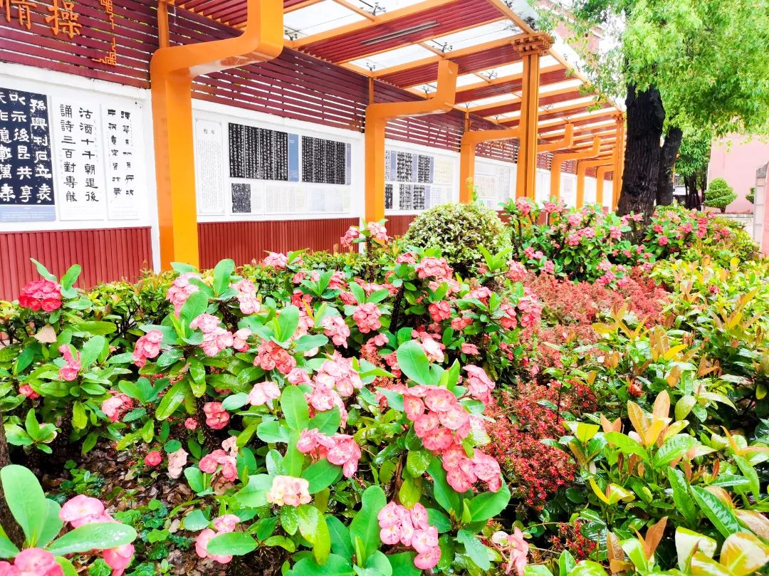 石碣四海学校是公办还是民办,东莞石碣四海学校最新视频