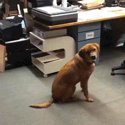 上海街头魔幻一幕：大批美女雨中激情搓澡