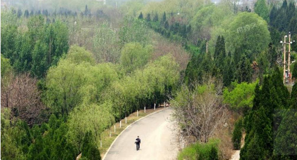 深扒历史铁姑娘郭凤莲的艰难转身,山西大寨郭凤莲图