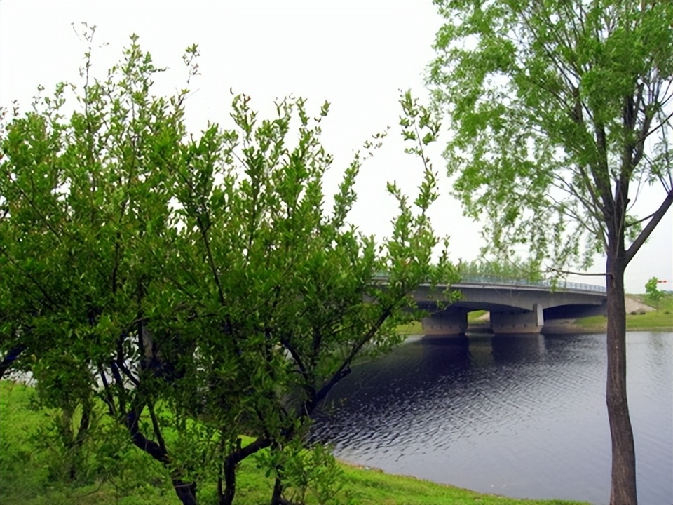 古井贡酒老酒收藏价值,古井贡酒年份原浆收藏版