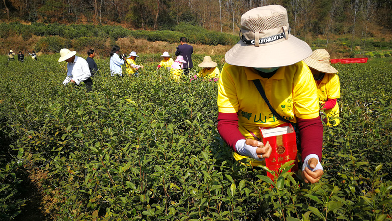 河南再添12张国家级非遗名片,河南省第六批非遗项目
