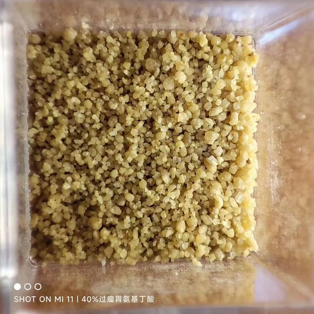 氨基丁酸在肉牛上的用量,肉牛用氨基丁酸