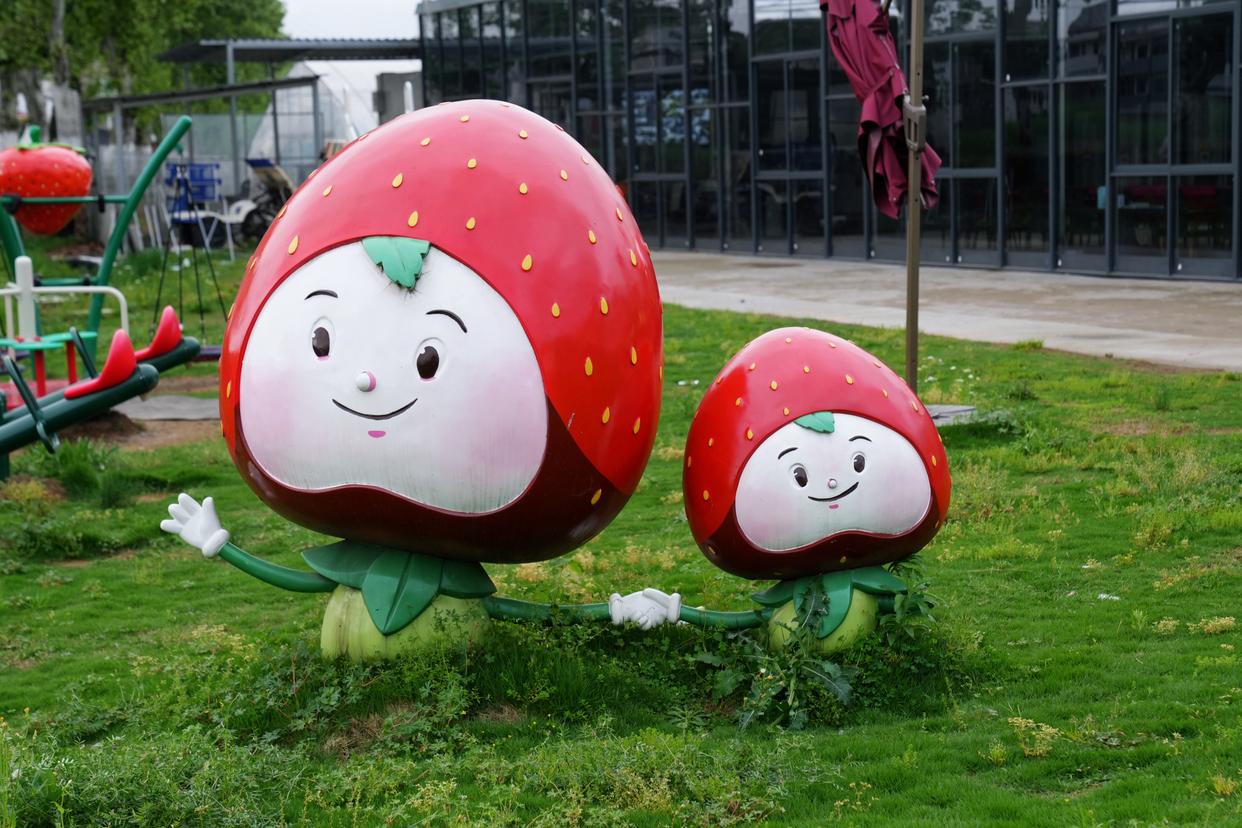 建德刀笃菜,倒笃菜是建德非遗吗