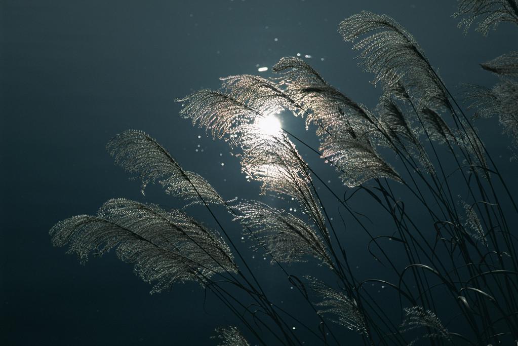 描写春月的七绝诗,关于春月的古诗词名句