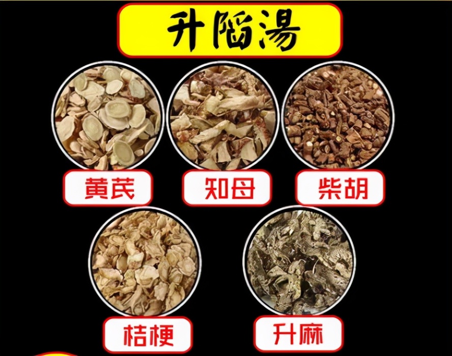 马博士说中医,马博士中医养生