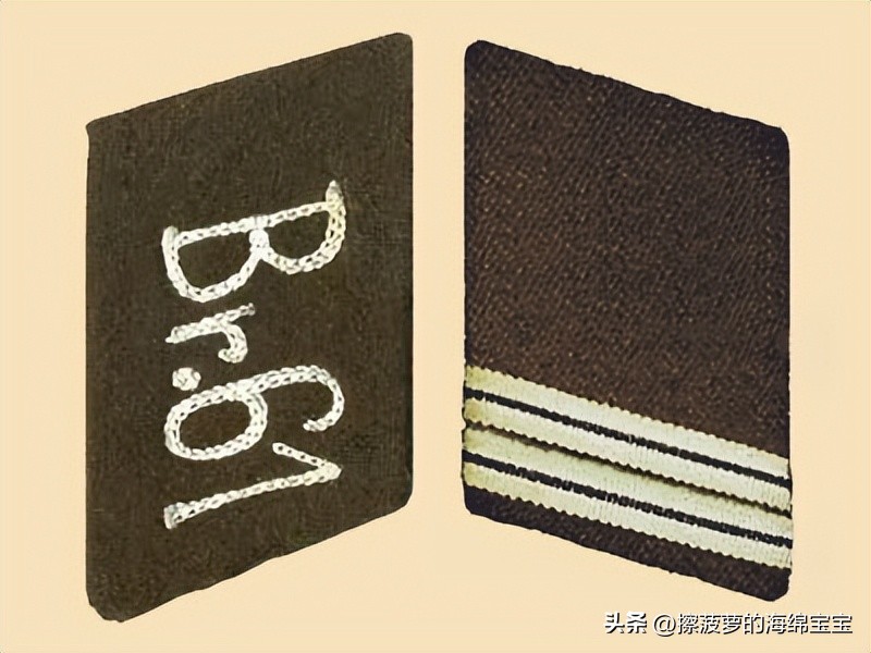 纳粹冲锋队用的什么枪,纳粹德军军衔图解