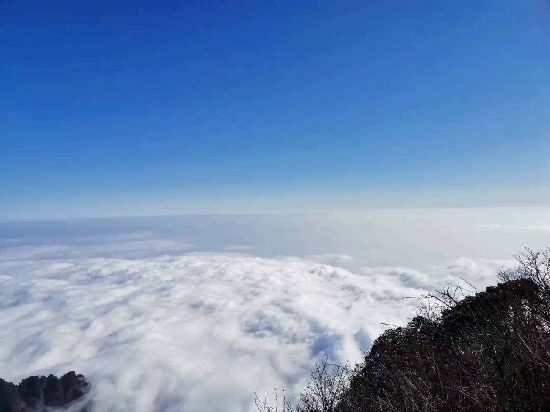 成都自驾乐山大佛峨眉山二日游,成都峨眉山乐山大佛自驾