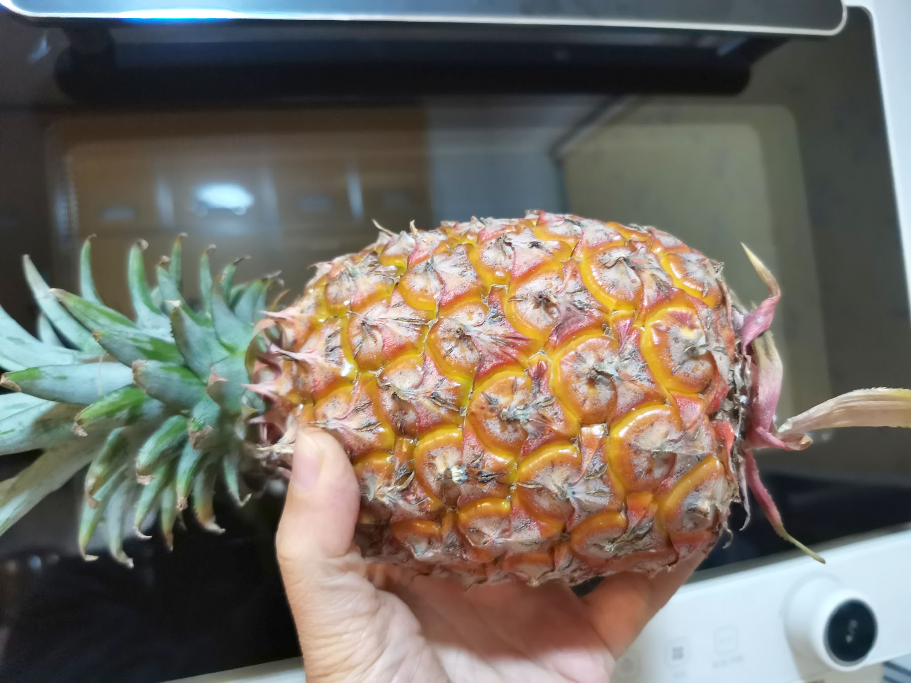 科普文章心得,新手考虑哪款烤箱