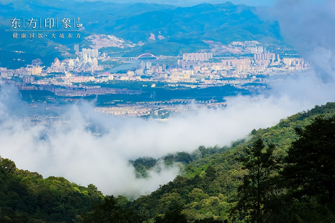 茶山体验之旅,茶山体验活动