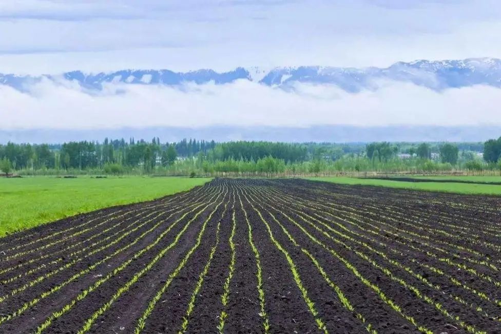 全域土地综合整治资金来源,全域土地综合整治项目是做什么