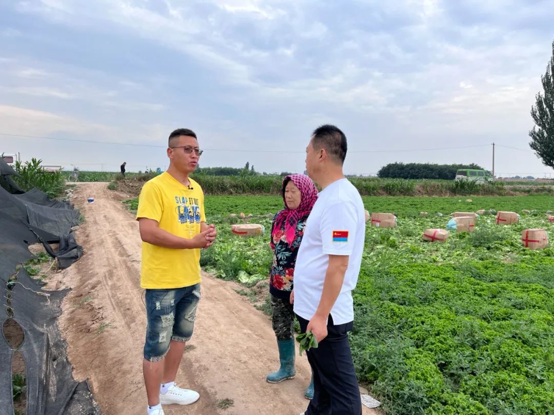 宁夏小伙种300亩蔬菜年收600万,承包300亩地种菜一年利润