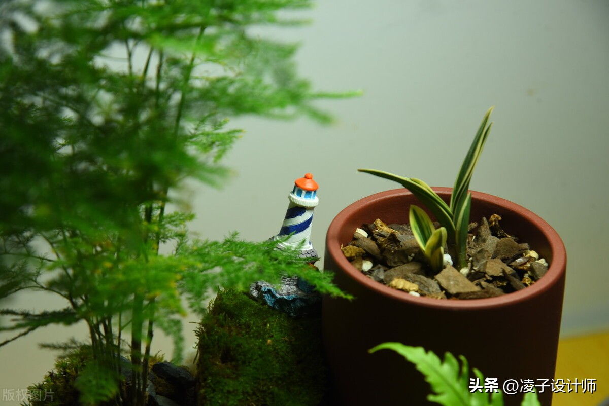 装修完放绿植去甲醛吗有影响吗,装修完放什么吸附甲醛