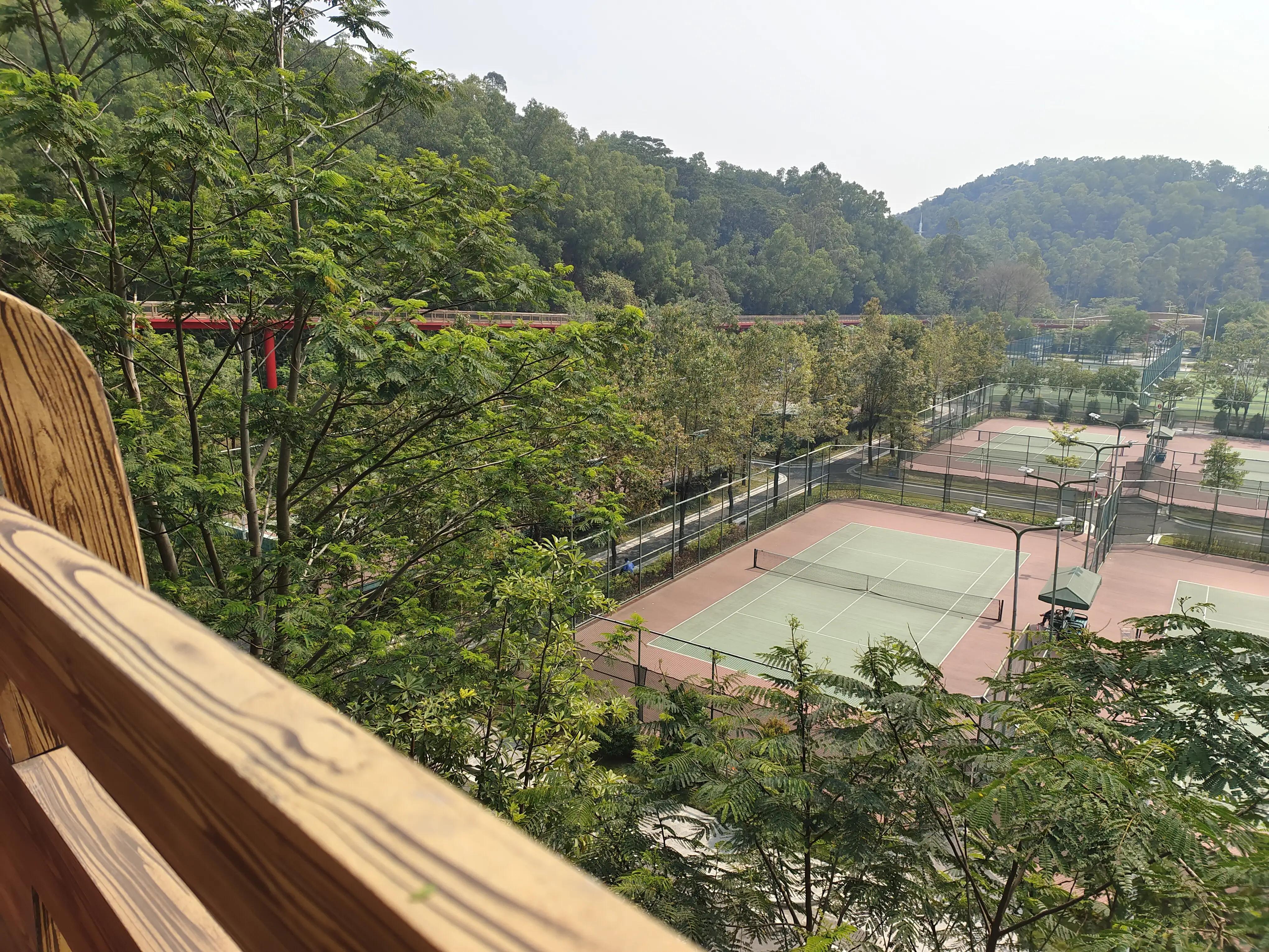 大运狂飙,兔年行大运好运常相伴