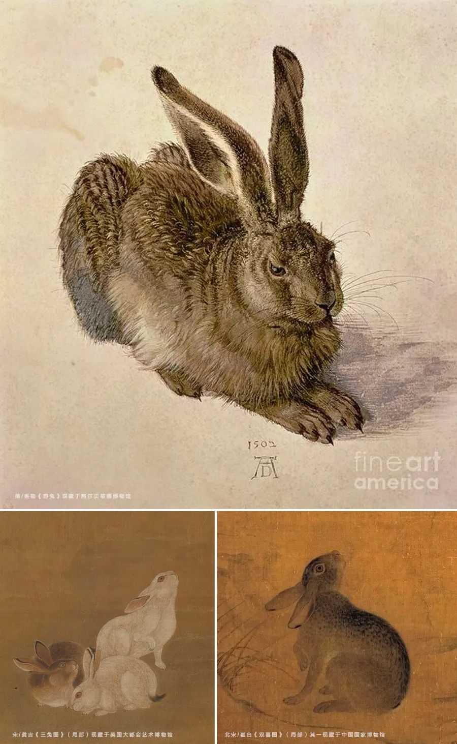 儿童画卡通小动物的步骤,儿童画创意兔子教案