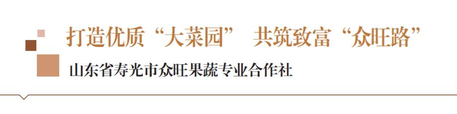 打造寿光蔬菜品牌推动农业产业化,打造致富型小菜园