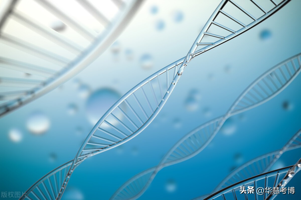 中国音乐学院博士招生分初试复试,2021年中国音乐学院博士招生