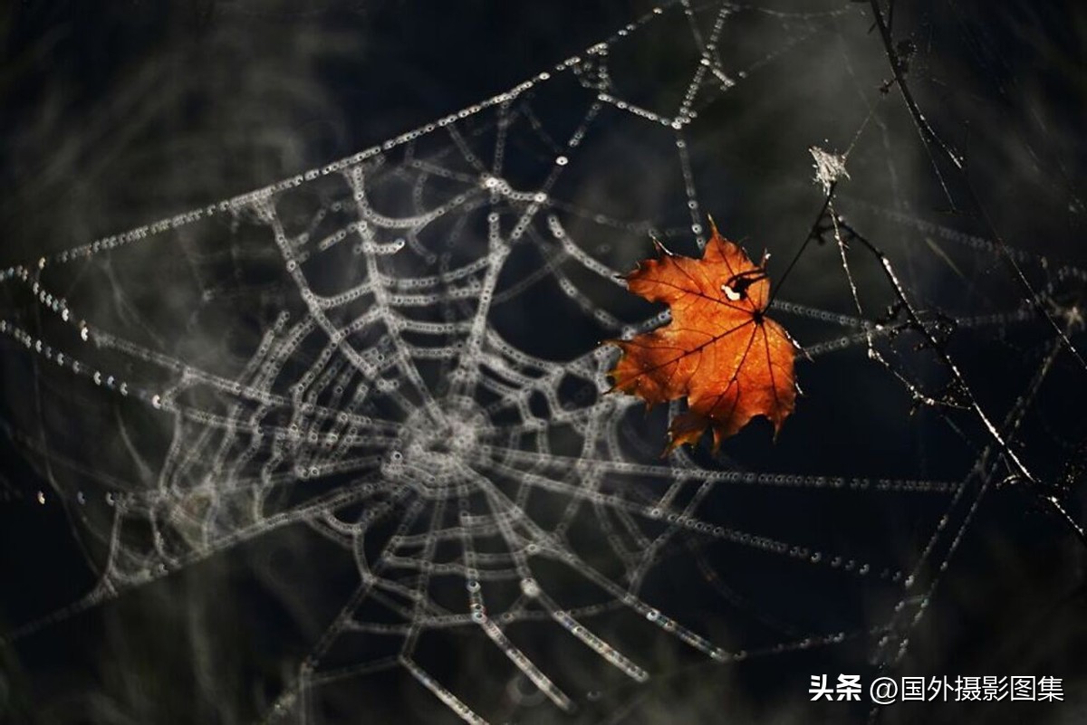 最美的景色秋天照片高清,夏天和秋天的绝美照片