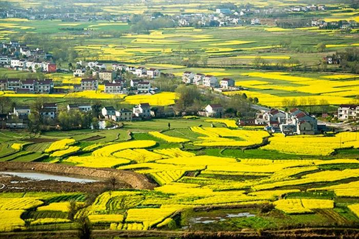 这里是人间仙境歌词,这里是人间仙境