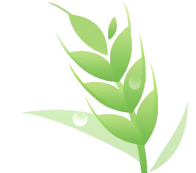 昆明的桶装水有哪些品牌,昆明桶装水销量最好的牌子