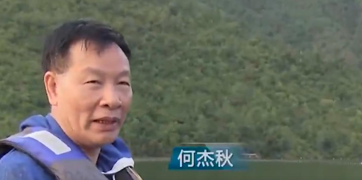 万尾鱼苗离奇失踪,鱼苗死亡鱼苗老板有责任吗