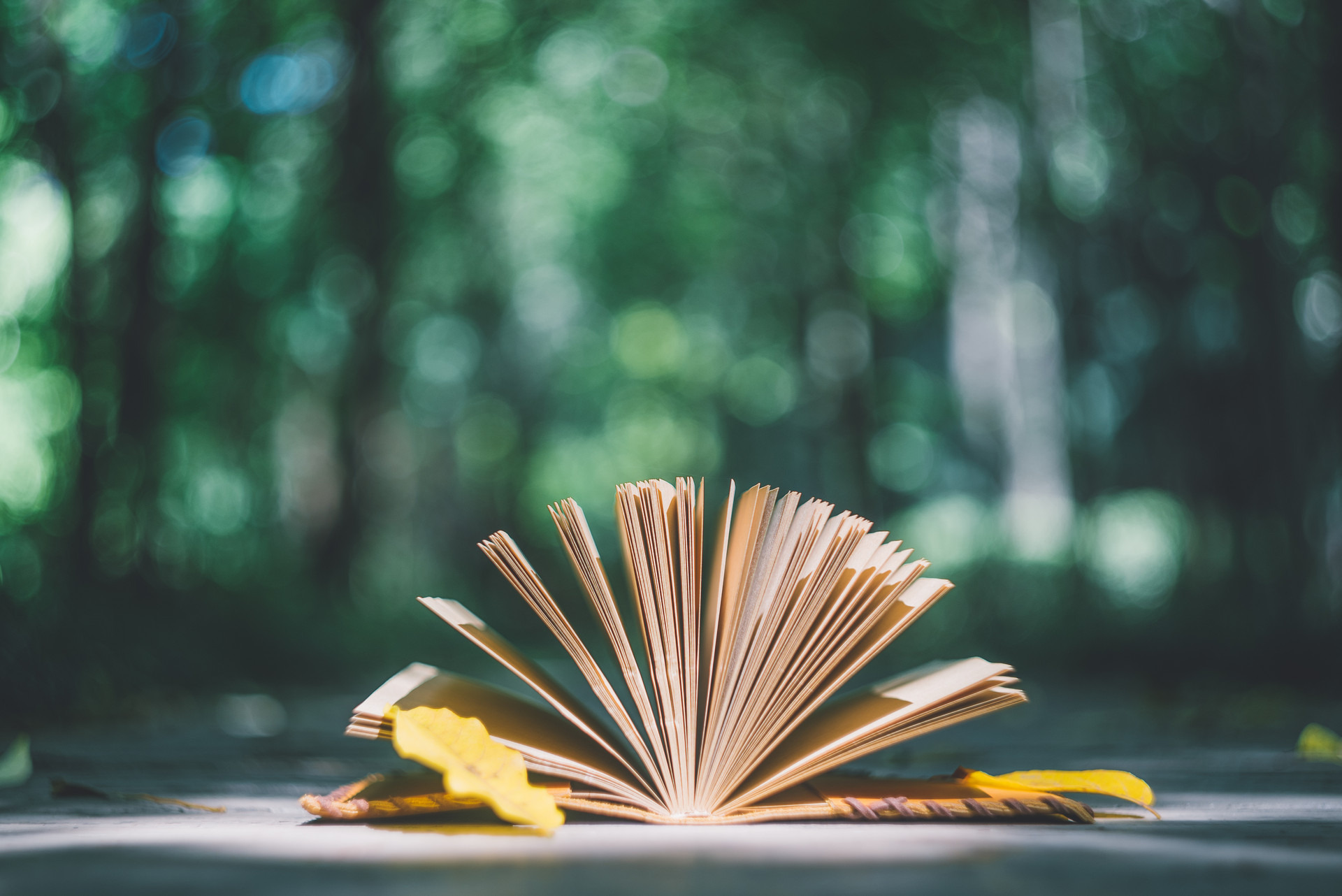 有一种人没有朋友亲情也很淡薄,有一种人没什么朋友亲情也很淡薄