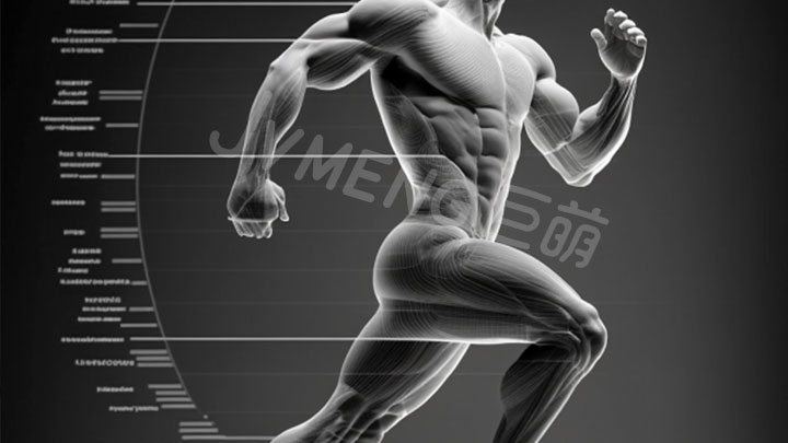 AI人体动作识别引领突破!智能医疗加速度,康复运动训练紧紧跟住