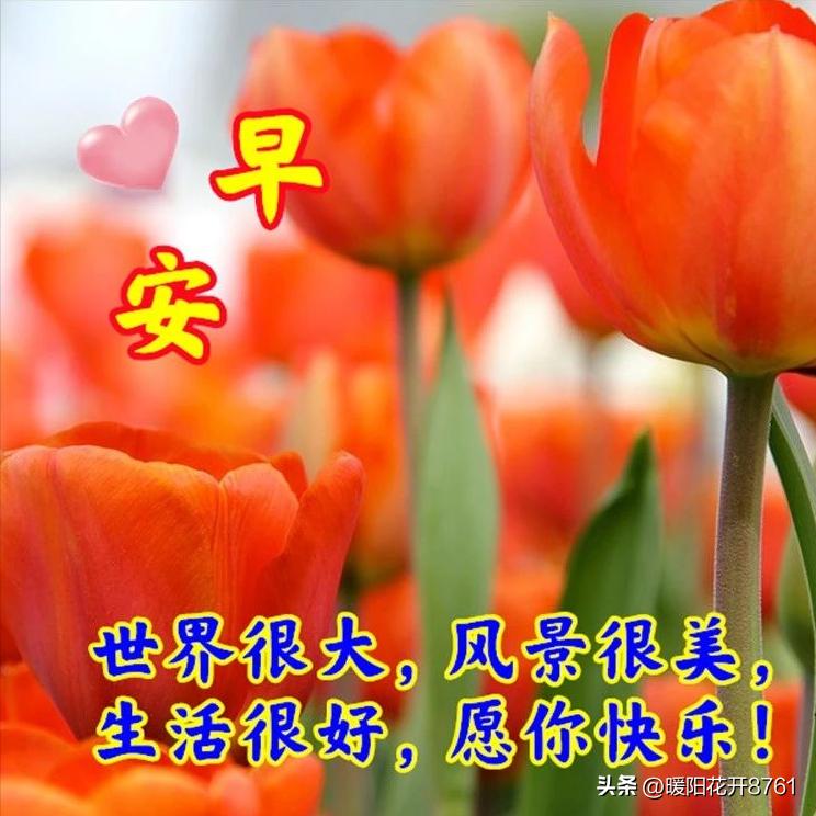 周三早安问候语简短一句话图片,早安问候语最暖心的图片