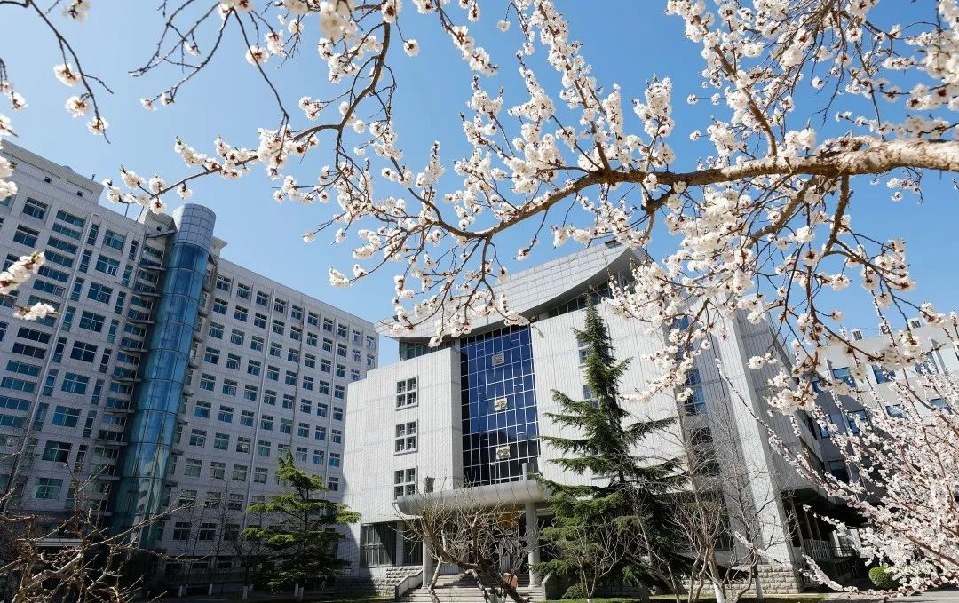 速戳!北京市2022高考分数线正式发布!北京联合大学近三年录取分数线汇总!