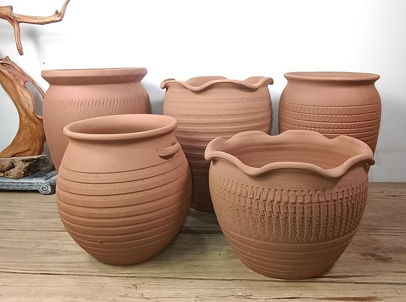 万年青的养殖方法和时间,万年青的养殖方法和注意什么