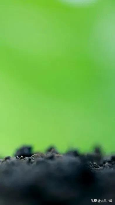 超清超美独一无二手机壁纸图片,养眼养心的壁纸