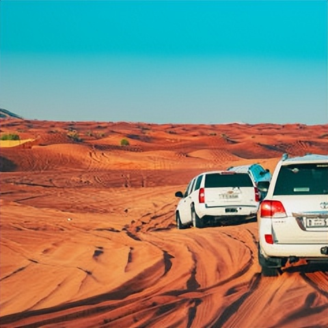 去迪拜自由行攻略,去迪拜旅游最详细攻略