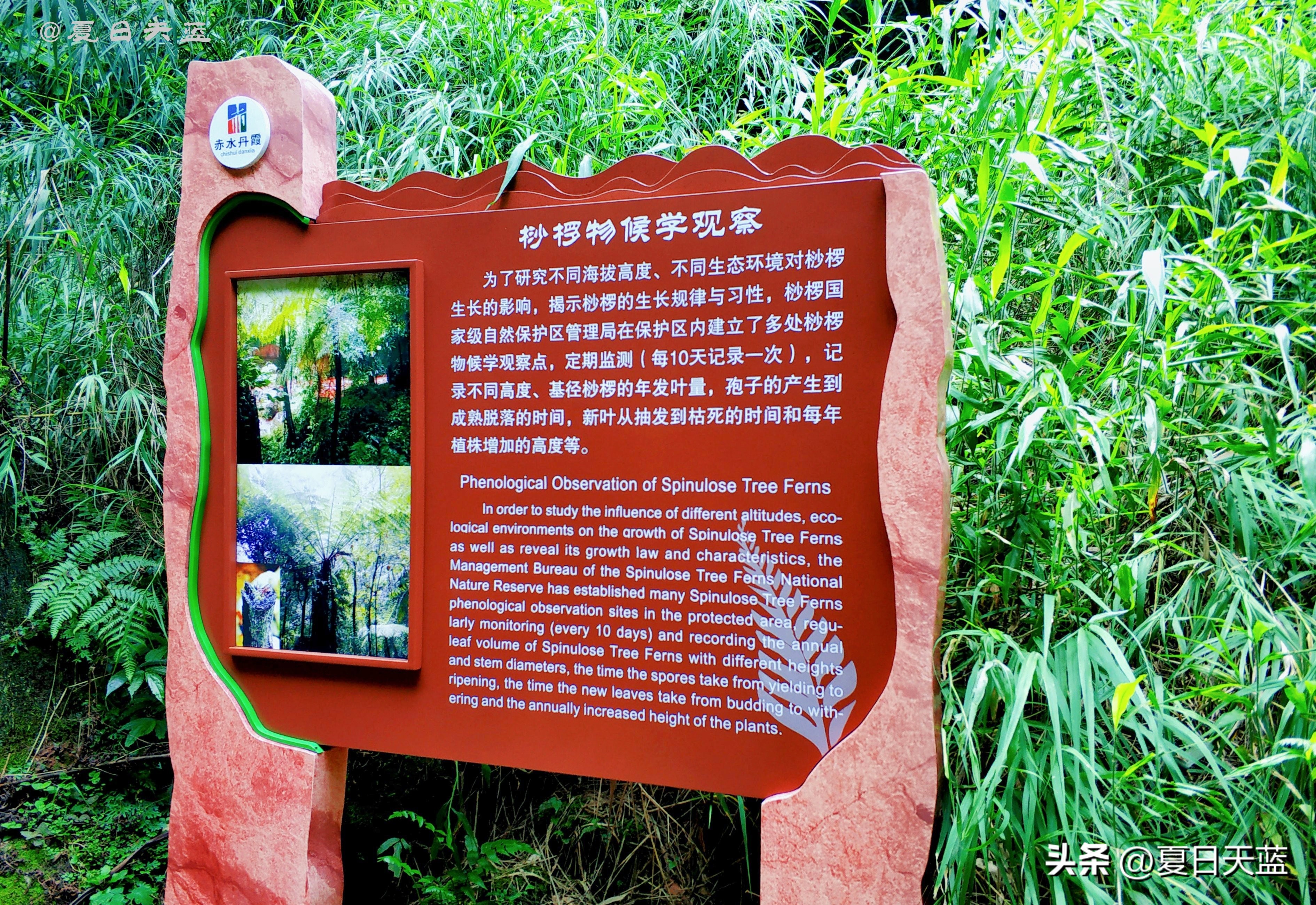 最新贵州赤水旅游攻略图,赤水市丙安古镇怎么游览