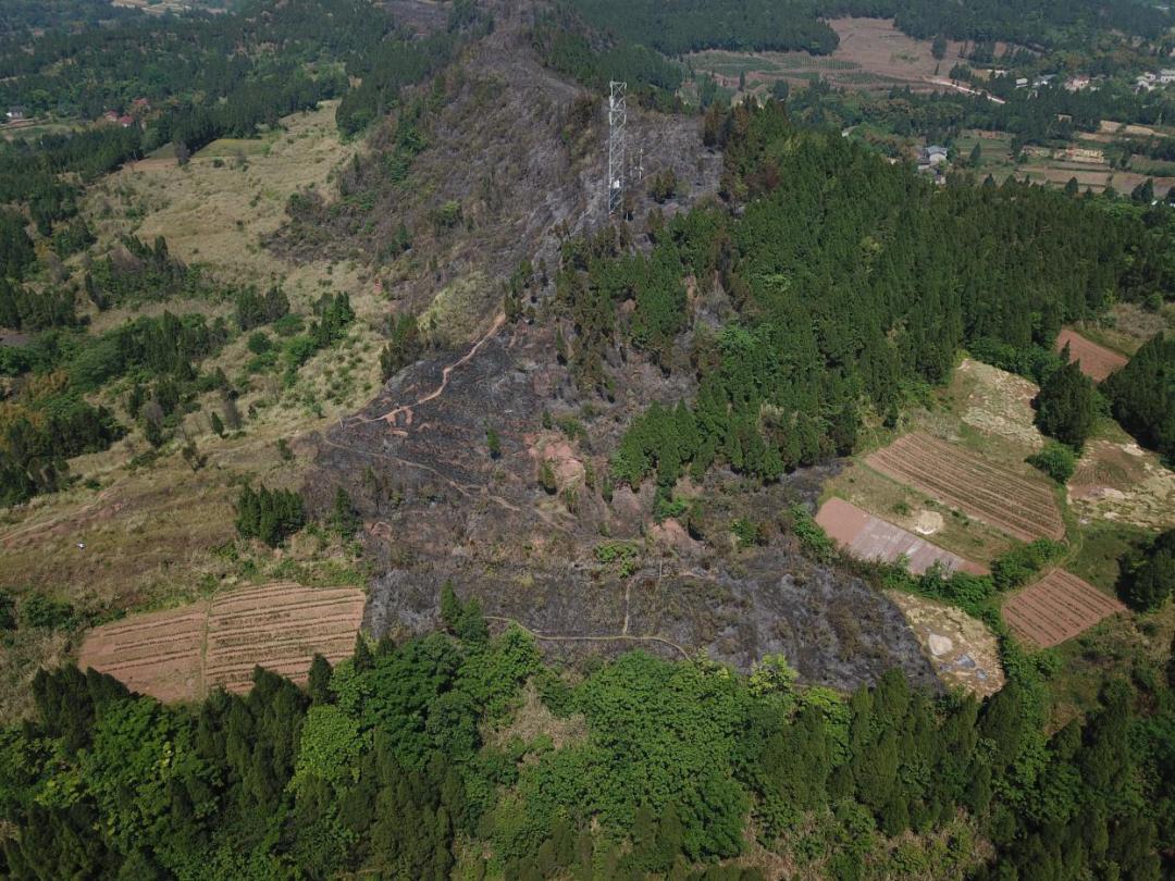 南充清明通知,南充清明节防疫政策