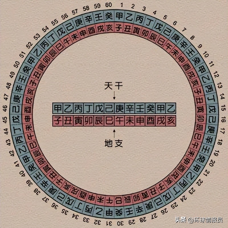 猫也能混进十二生肖？越南为什么不过兔年，而是过猫年？