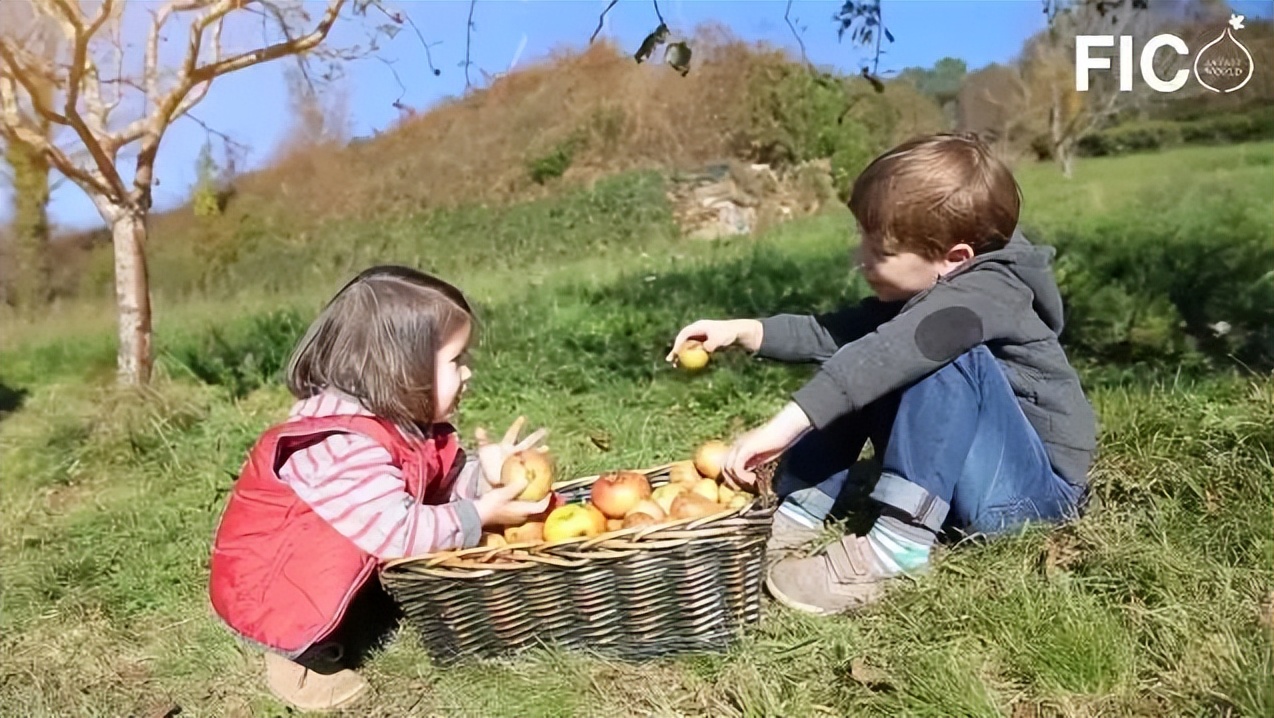 迪士尼乐园二合一美食,世界十大迪士尼乐园美食