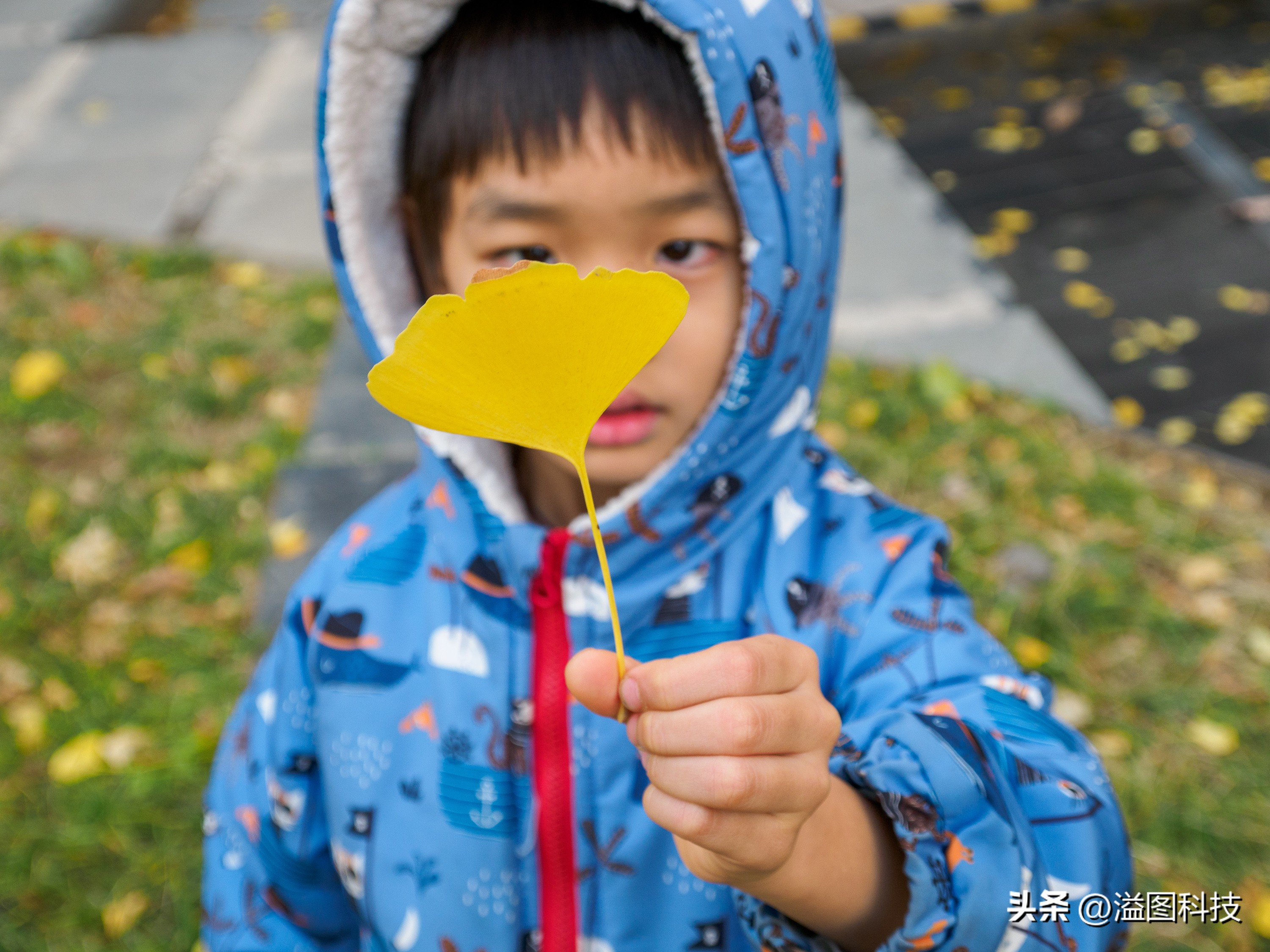 推介一款干活用的微单,新出的入门微单