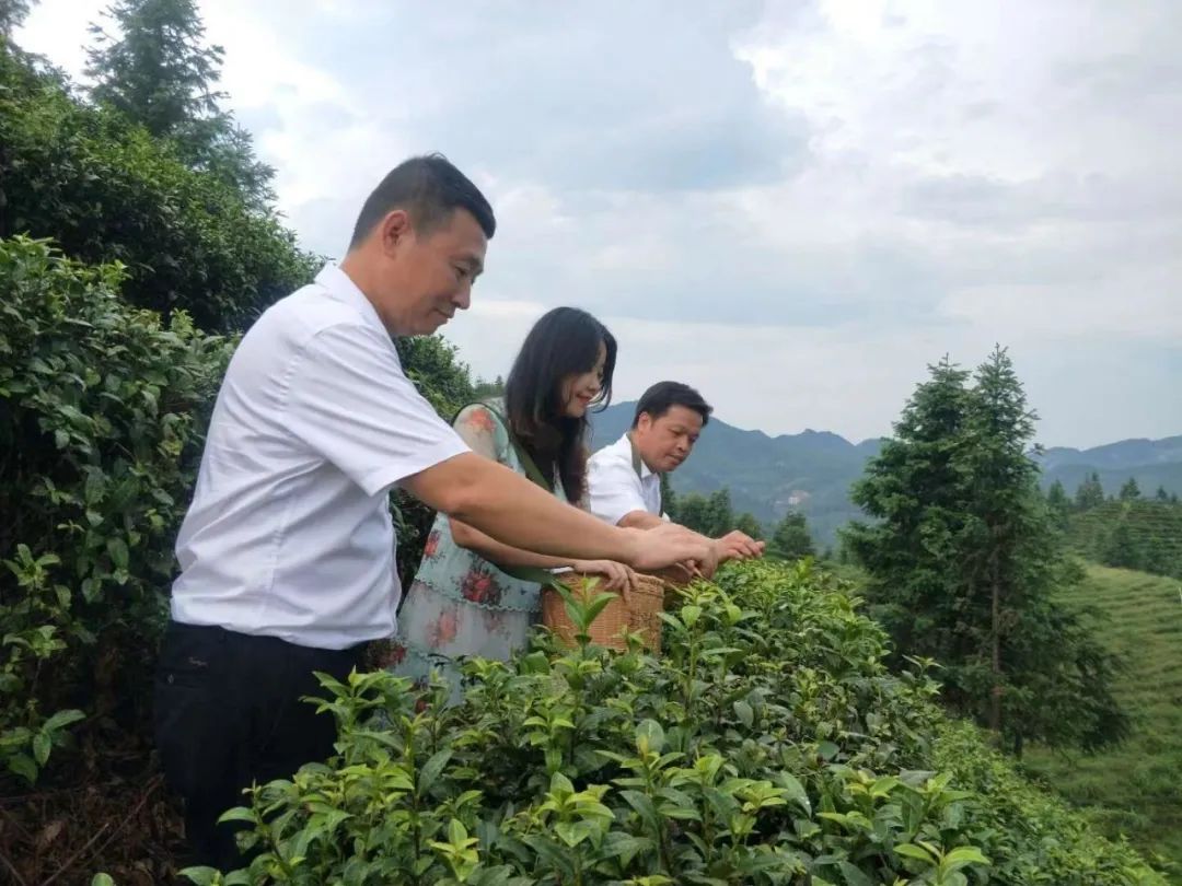 为中国石化发展勇立新功,为乡村振兴农民致富加油