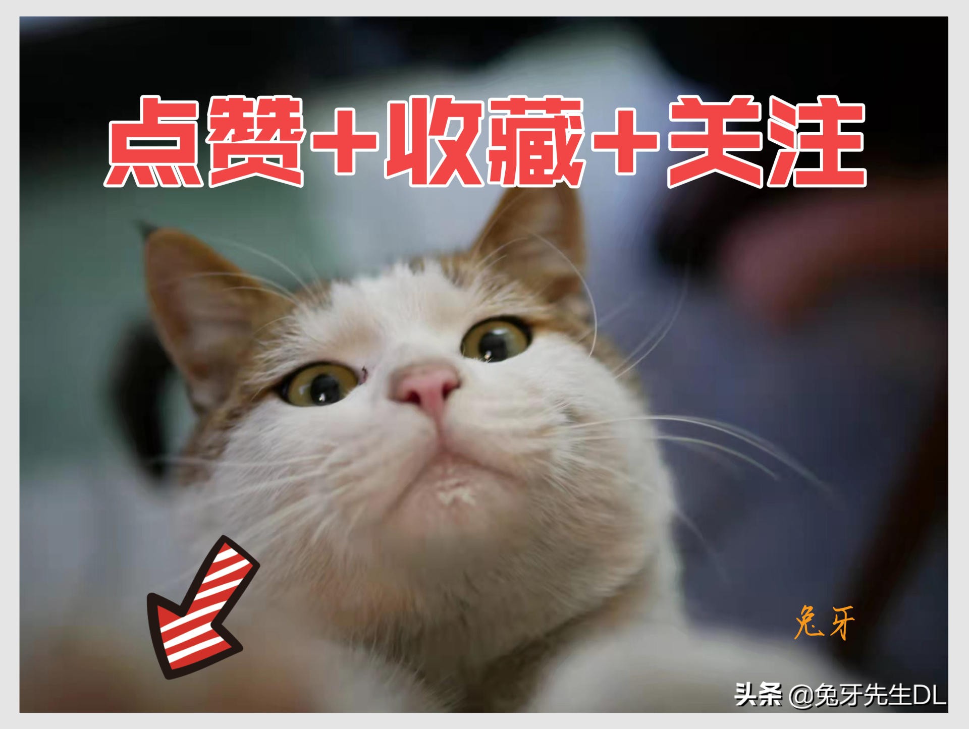 360行车记录仪k680升级版测评,360k980行车记录仪评测