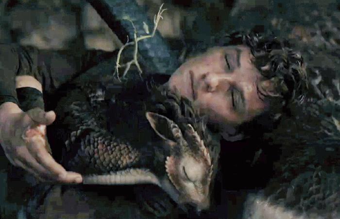 神奇动物之邓布利多之谜免费观看,神奇动物邓布利多之谜彩蛋