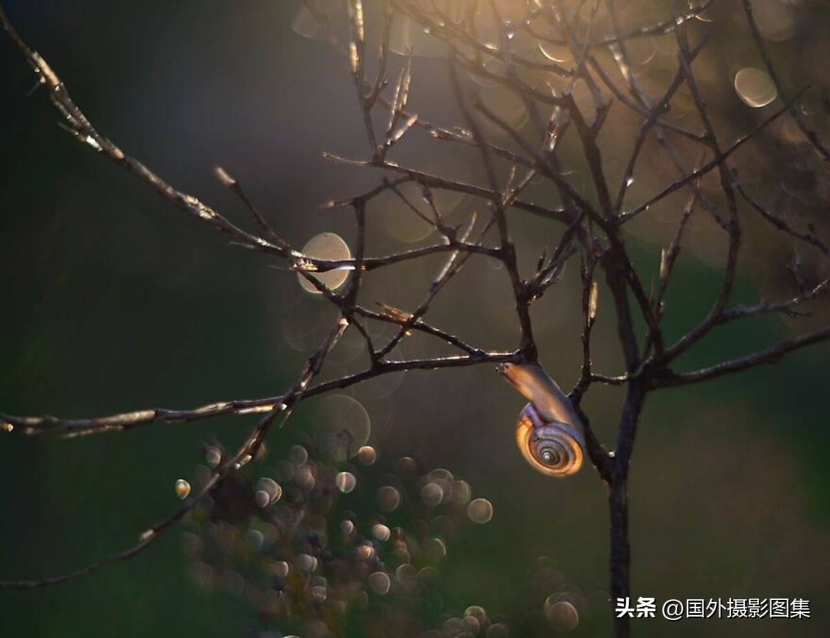 秋天最美大自然图片,春天最美的三十六张照片