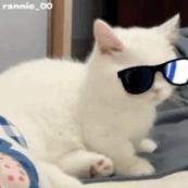 你能拿我怎样表情包自取,表情包你能拿我怎么样