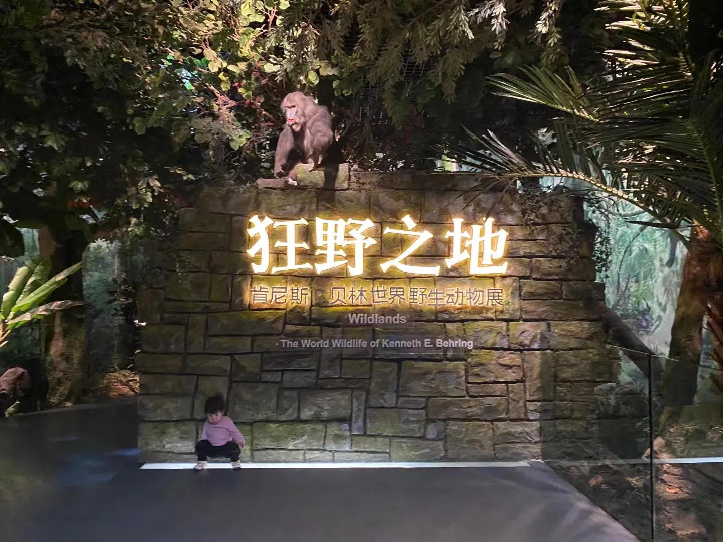 杭州博物馆与浙江博物馆哪个好,杭州博物馆和浙江博物馆