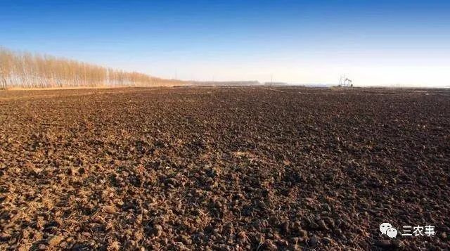 关于农村土地补贴政策,2021年七星关区农村土地补贴标准