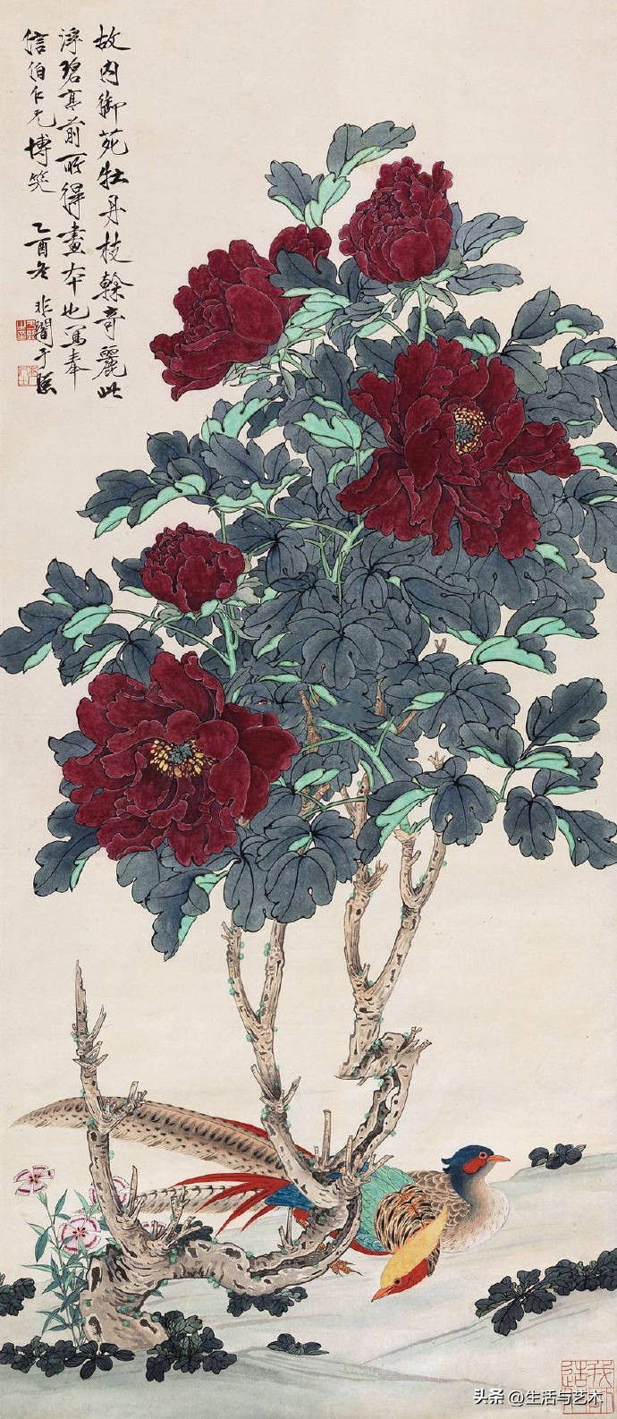 工笔牡丹和鸟白描图片欣赏,王道中工笔牡丹白描稿马蹄莲