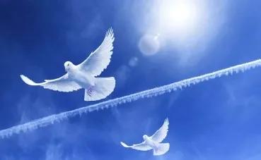 数据分析和商业分析哪个专业好,商业及数据分析专业