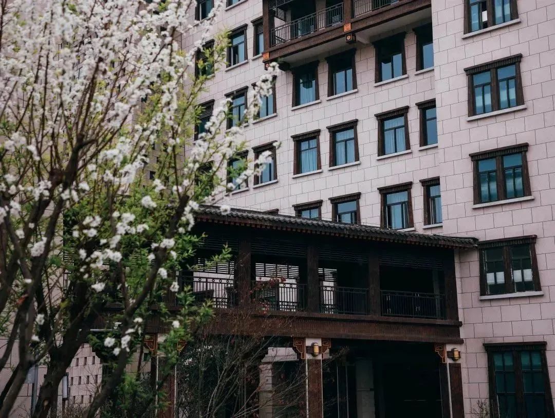 恋爱赏花没时间？四川这所高职专门放假7天过春天！谁羡慕我不说