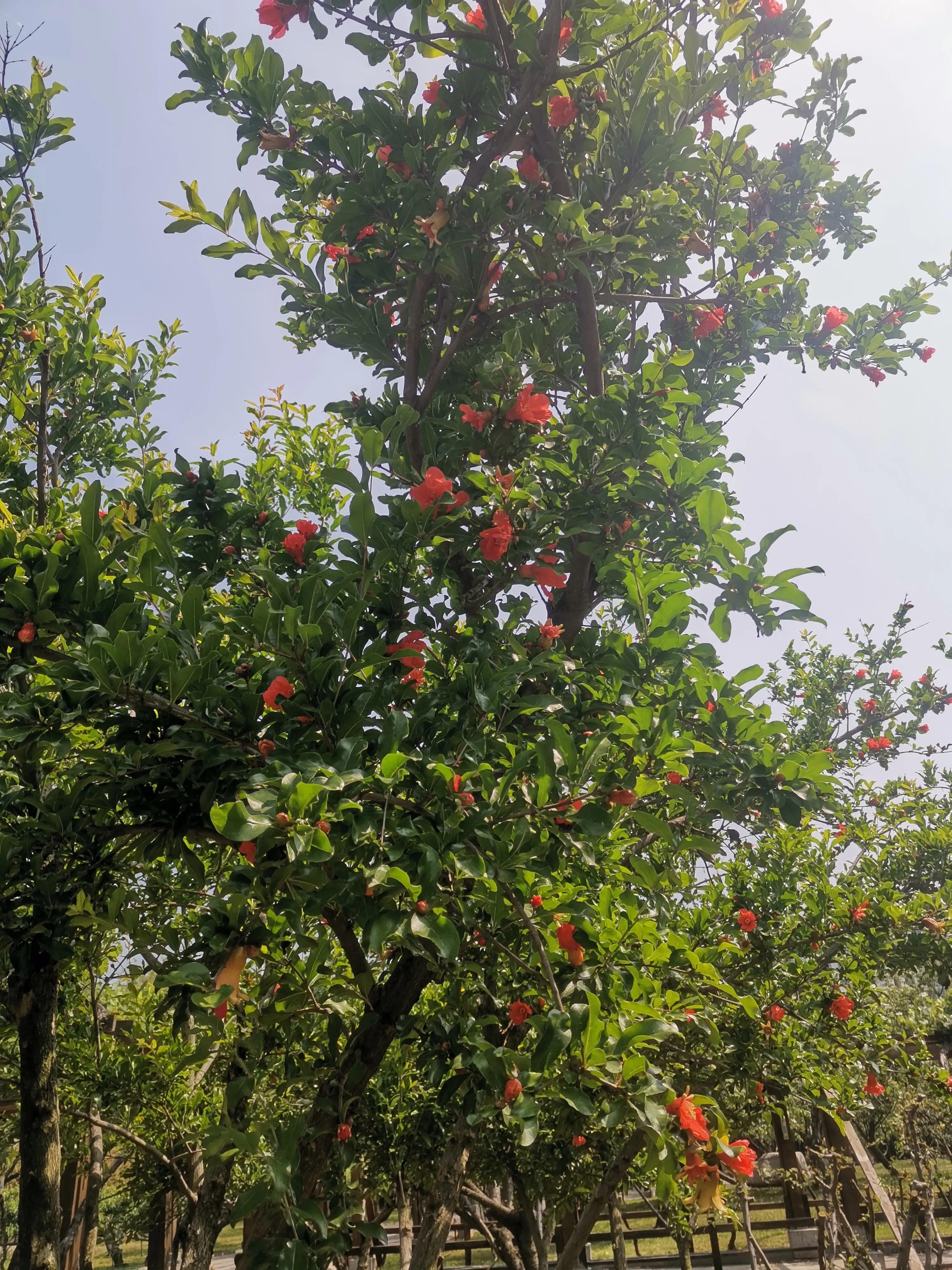 民间丫鬟故事大全集,民间故事员外和丫鬟