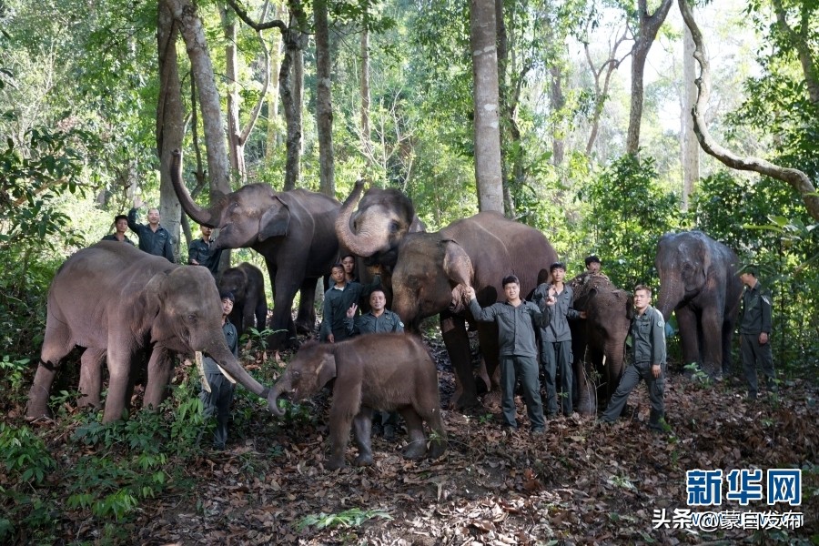 cop15大会高清图,cop15第二阶段会议有哪些人出席