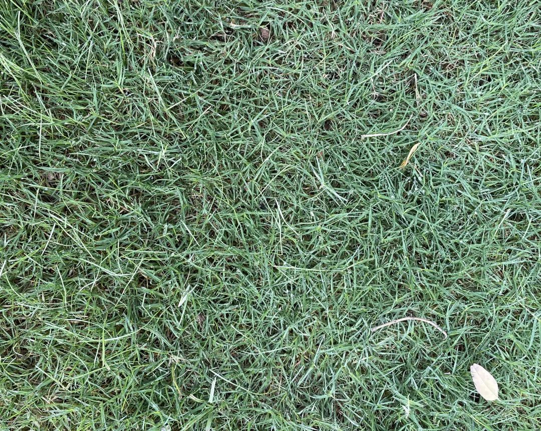 验房金地如期交付,金地2025年交房靠谱吗